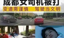 被打女司机爆料视频,行车记录仪揭露惊心一幕