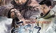 雪海电视剧在线观看50,在线观看，感受冬日浪漫情怀