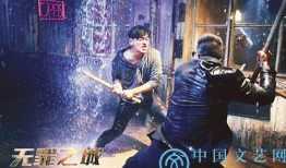 无罪之城免费在线观看,免费在线观看，揭秘神秘罪案背后的真相