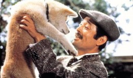 忠犬八公高清在线观看,永恒的忠诚，感人至深的生命故事