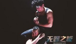 无罪之城免费在线观看,免费在线观看，揭秘神秘罪案背后的真相
