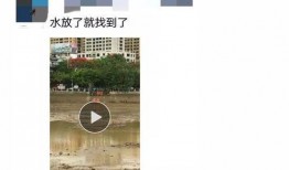 怀远网友爆料新闻视频播放,新闻视频引发热议，真相究竟如何？