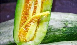 安海网红吃瓜,揭秘网络红人的幕后故事