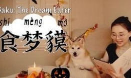 梦食在线观看,一场味蕾与心灵的奇幻之旅